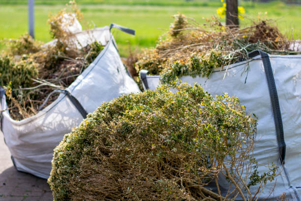 Whitney, TX Junk Removal  Company